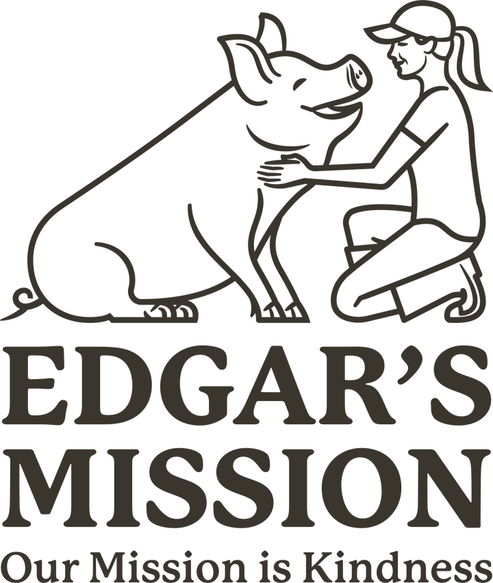 articles/EdgarsMissionLogo.png