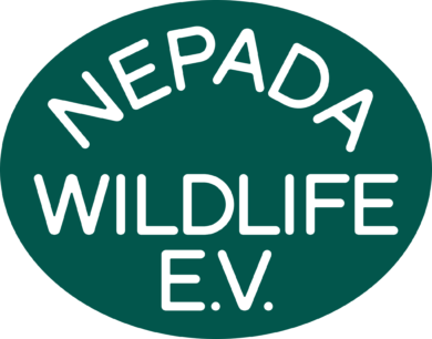 Nepada Wildlife