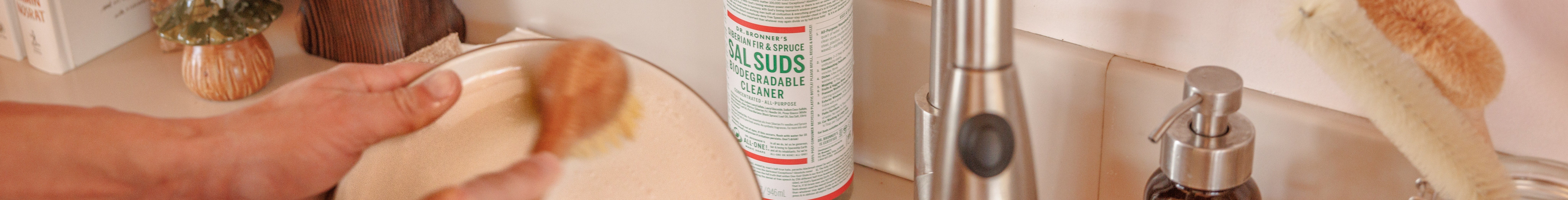 sal suds for your budget, how long a bottle of sal suds will last, best cleaner for your budget
