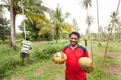 What Is Regenerative Organic Agriculture?