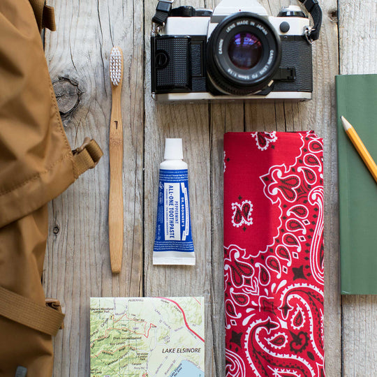 A camera, toothbrush, tube of Dr. Bronners toothpaste, map, red bandana, green notebook, and pencil are neatly arranged on a wooden surface, suggesting a travel theme. Lake Elsinore is marked on the map [1 oz]
