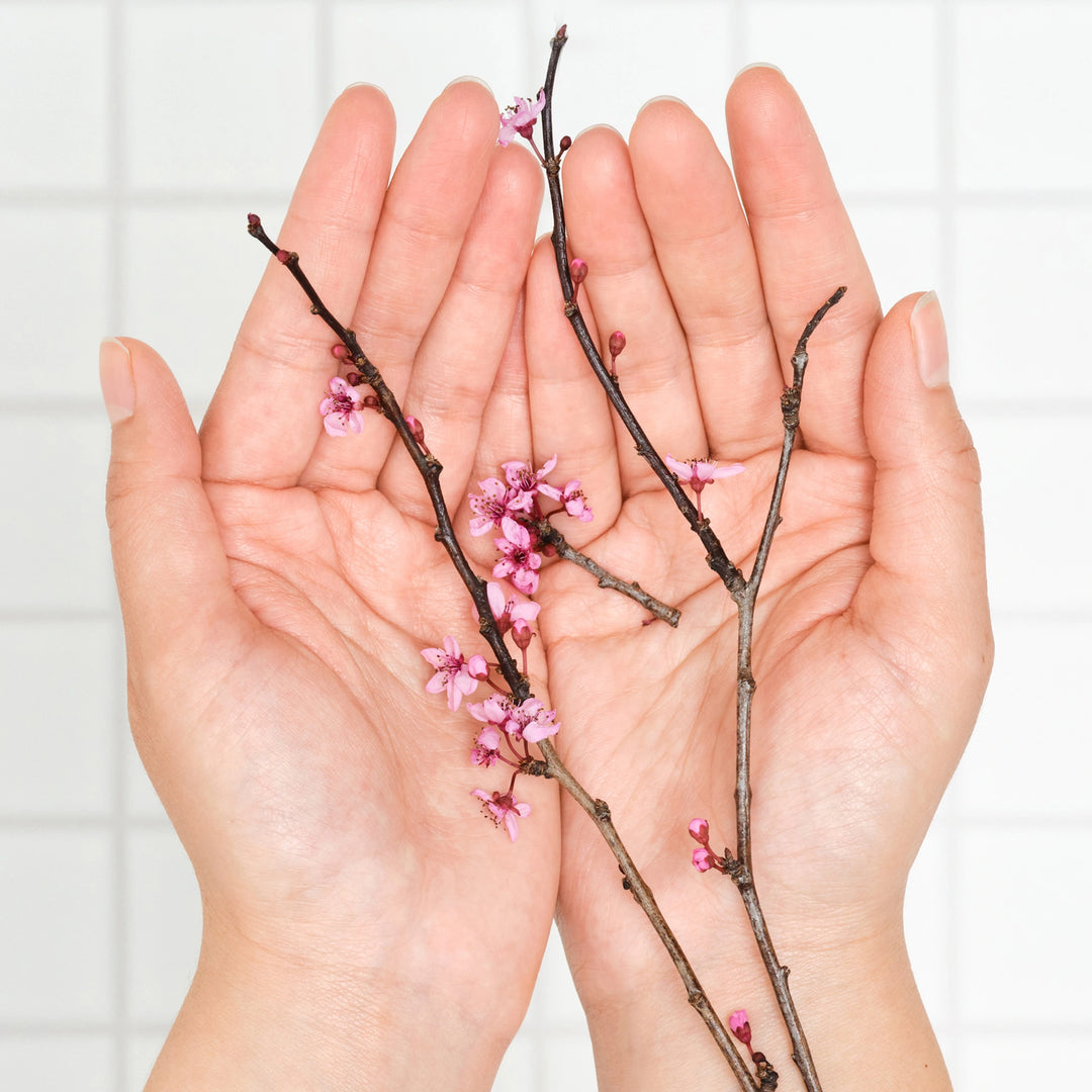 Two hands holding a branch with pink flowers against a white background  [3.4 oz, 8 oz, 16 oz, 32 oz, 1 Gallon]