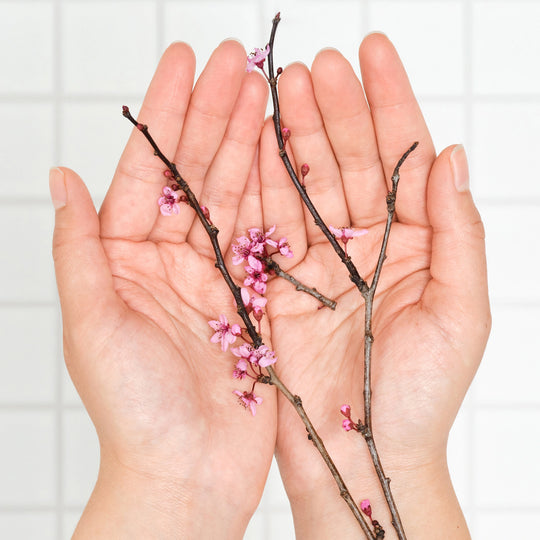 Two hands holding a branch with pink flowers against a white background  [3.4 oz, 8 oz, 16 oz, 32 oz, 1 Gallon]