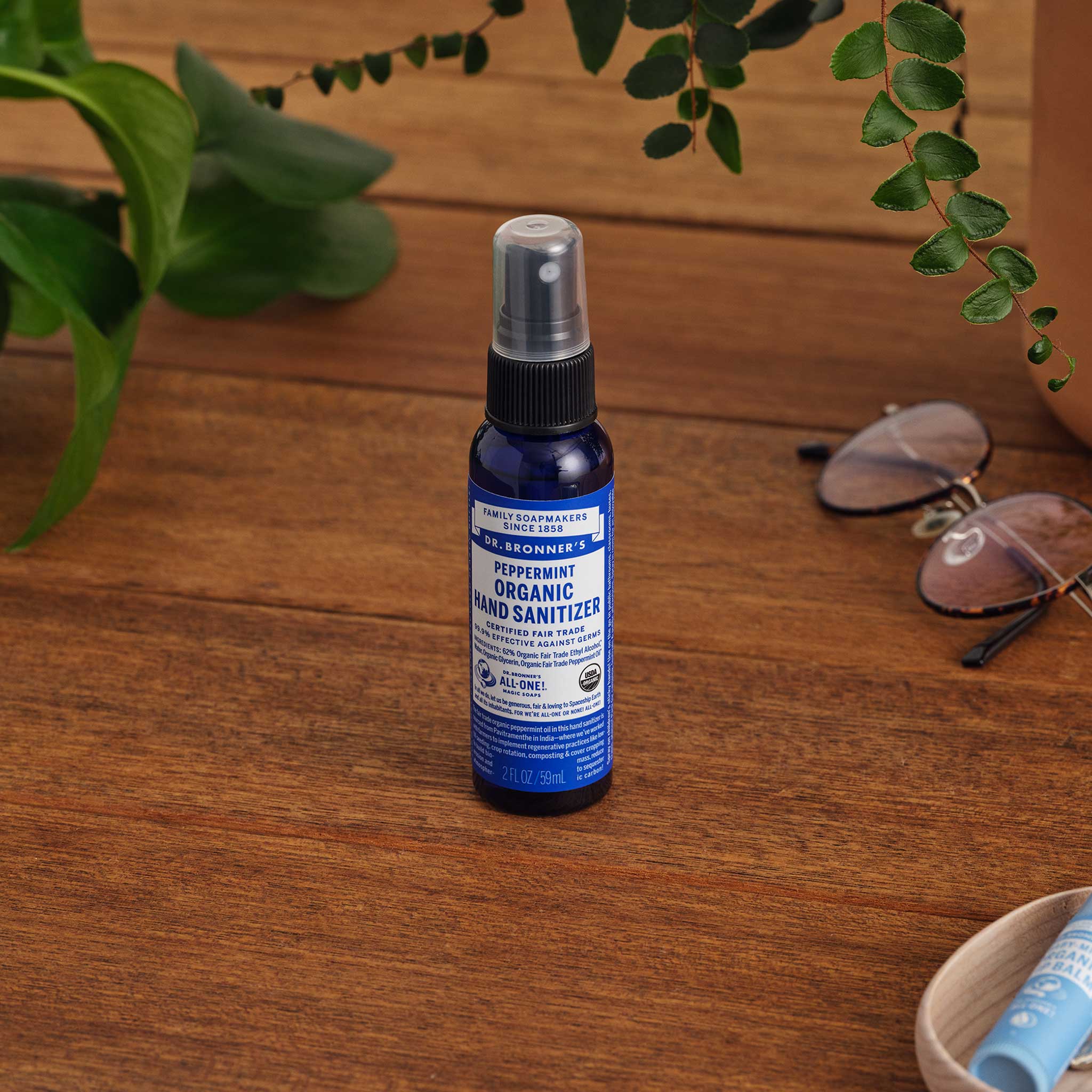 Peppermint - Hand Sanitizer 2-Pack – Dr. Bronner's
