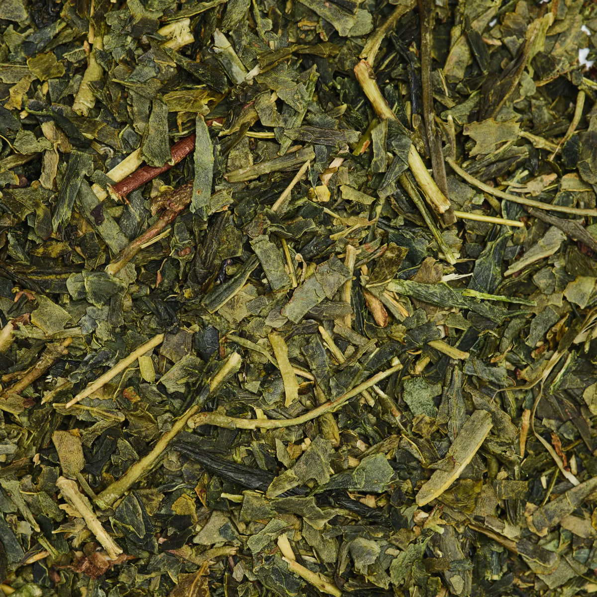 PURE-CASTILE LIQUID SOAP Green Tea [1 gallon]