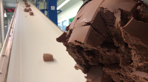 Where Does Chocolate Come From? How We Make Dr. Bronner’s Magic All-One Chocolate