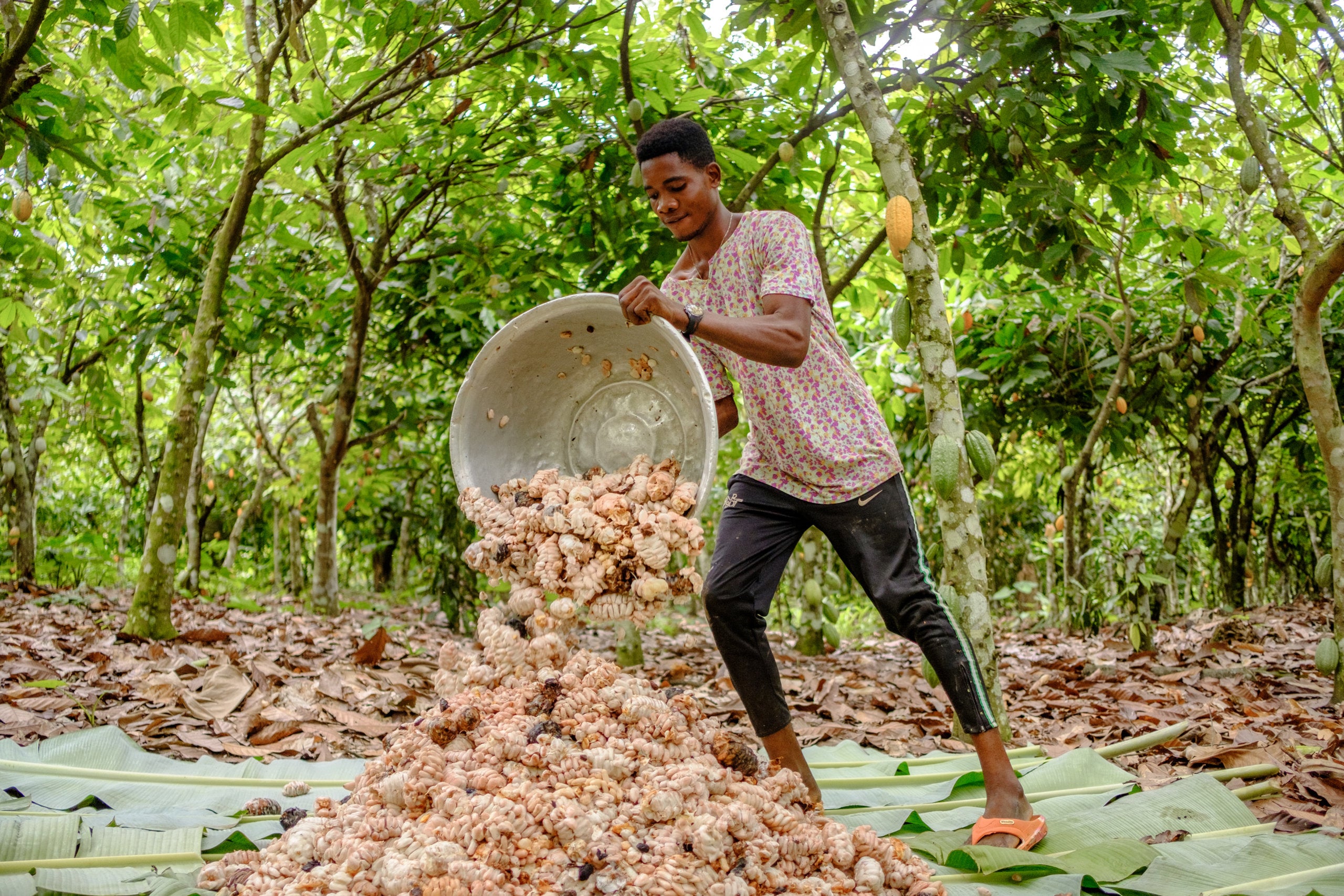 Dr. Bronner's: The Original All-One Magic Soap and More!