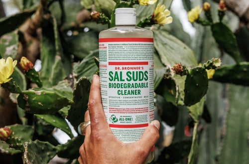 How to Clean Decks, Patio Furniture, and Grills & More with Sal Suds